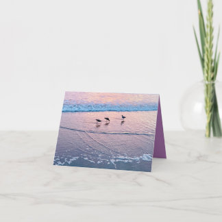 Tarjeta Aves marinas al crepúsculo