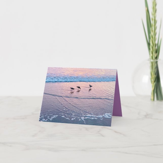 Tarjeta Aves marinas al crepúsculo (Anverso)