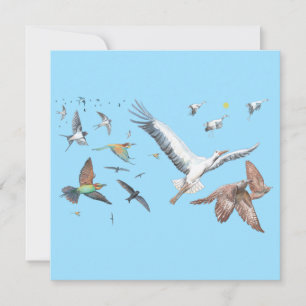 Tarjeta Aves migratorias rastreando su Ilustracion de vuel