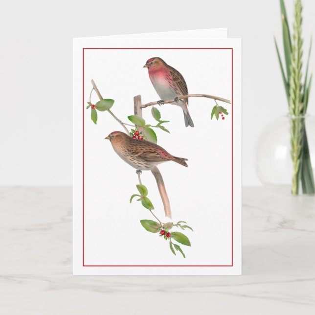 Tarjeta Aves rojas en una rama de Berry (Anverso)