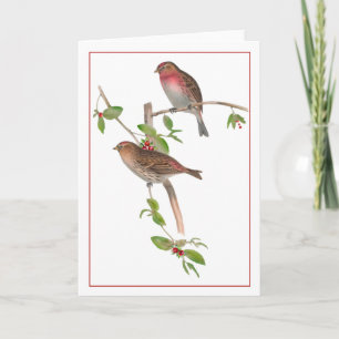 Tarjeta Aves rojas en una rama de Berry
