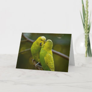 Tarjeta Aves verdes de un amigo amarillo en una rama de ár
