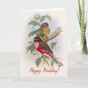 Tarjeta Aves Vintage Divertidas cumpleaños (Cumpleaños) Pu