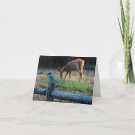 Tarjeta Aves y ciervos se llevan bien a pesar de sus difer