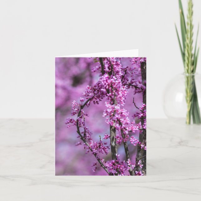 Tarjeta Avondale Redbud Art (Anverso)