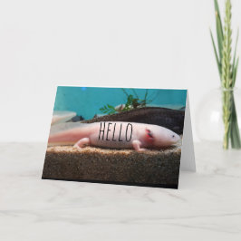 Tarjeta Axolotl leucista