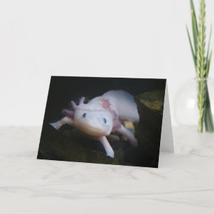 Tarjeta Axolotl mexicano
