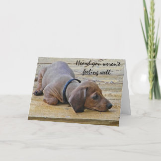 Tarjeta AY- Funny Dachsund Puppy Dog Get Well Card