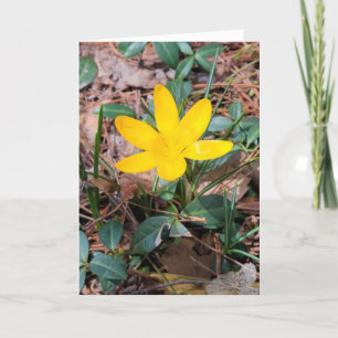 Tarjeta Azafrán Amarillo de Primavera Pensando en Ti