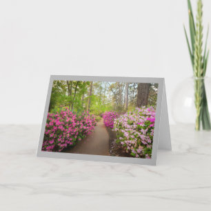 Tarjeta Azalea 4 Ruta del jardín eólico y azaleas rosas
