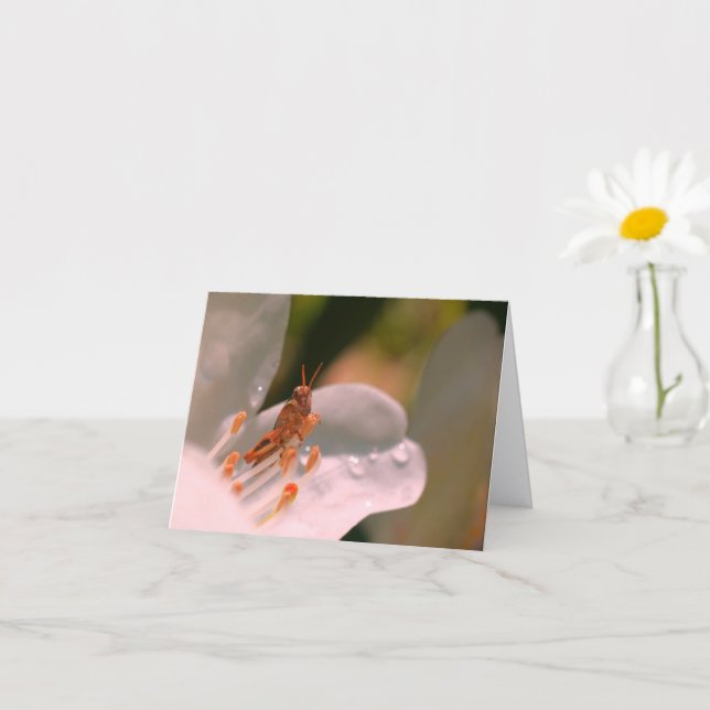 Tarjeta Azalea Flower And Grasshopper Personalized Note (Planta pequeña)