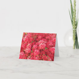 Tarjeta Azalea Greeting Card