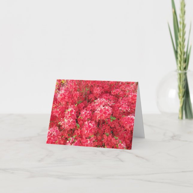 Tarjeta Azalea Greeting Card (Anverso)