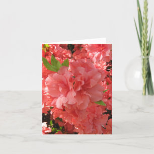 Tarjeta Azalea Notecard