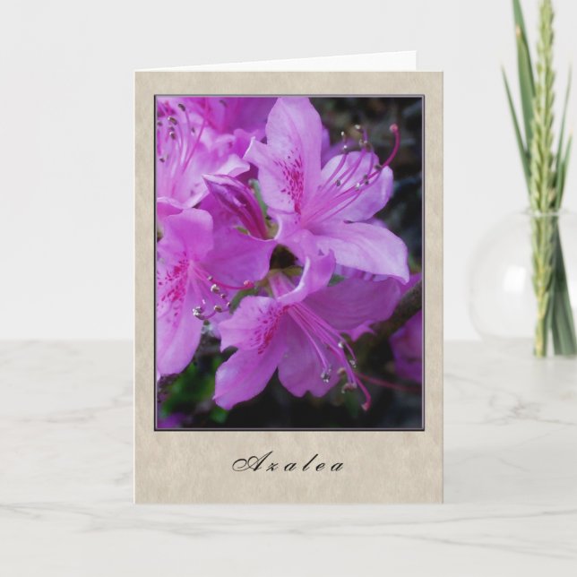 Tarjeta Azalea - Serie floral (Anverso)