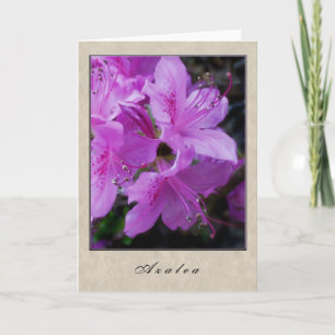 Tarjeta Azalea - Serie floral