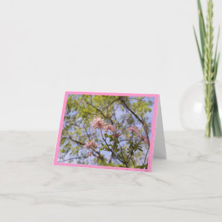 Tarjeta Azaleas salvajes Notecard floral