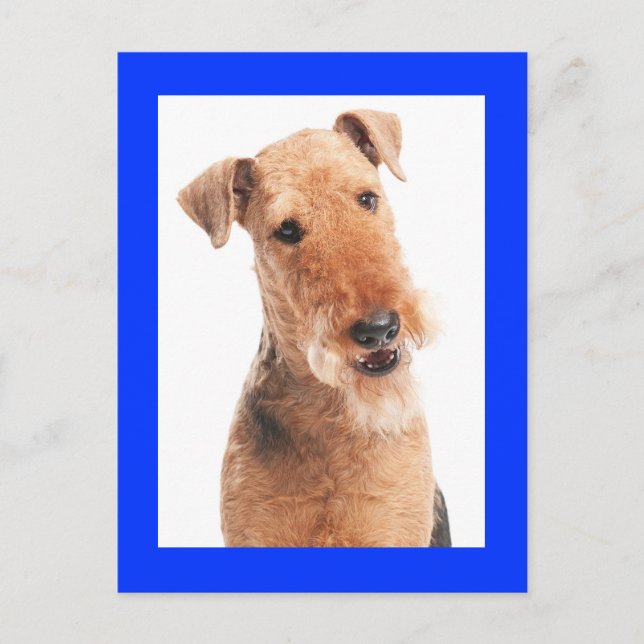 Tarjeta azul de Airedale Terrier Puppy Dog (Anverso)
