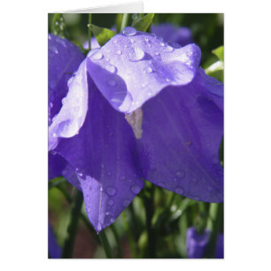 Tarjeta azul de Bell