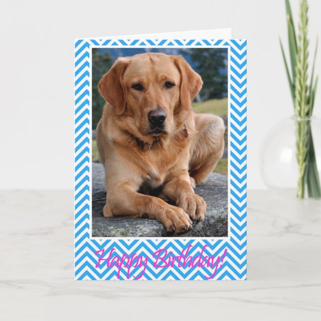 Tarjeta azul de cumpleaños feliz de perro recupera (Anverso)