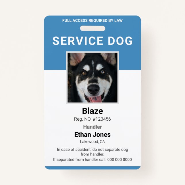 Tarjeta azul de foto de perro de servicio (Anverso)