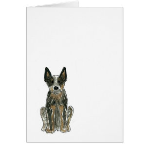Tarjeta azul de Heeler del perro australiano del