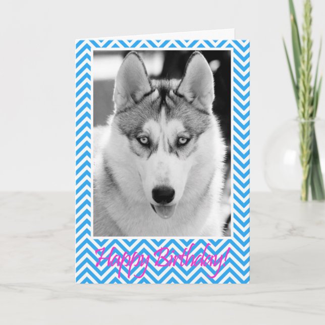 Tarjeta azul del feliz cumpleaños del perro del (Anverso)