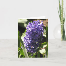 tarjeta azul Hyacinth