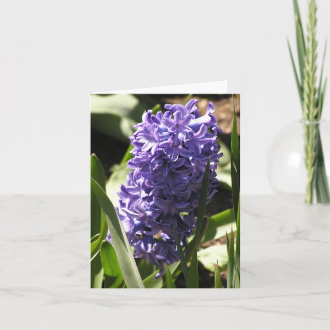 tarjeta azul Hyacinth (Anverso)