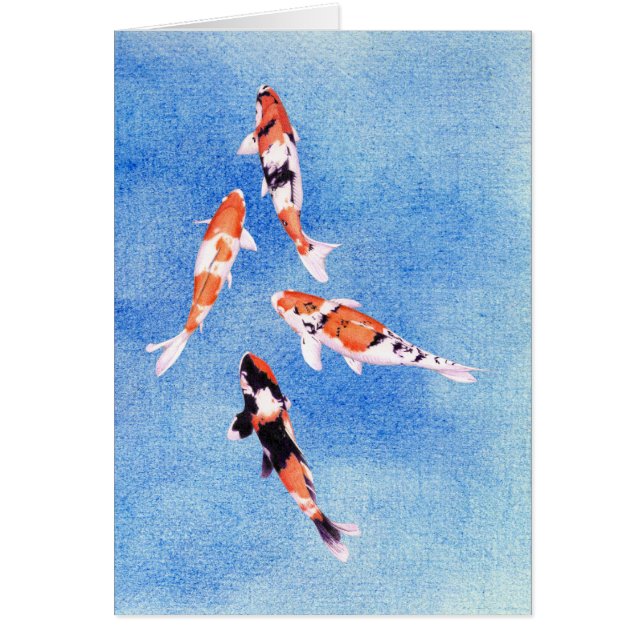Tarjeta azul Koi flotante (Frente)
