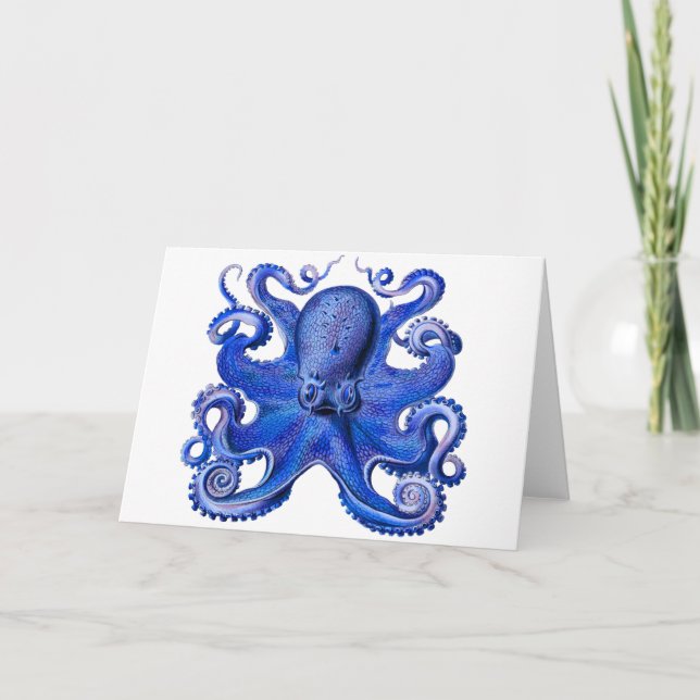 Tarjeta Azul octopo Haeckel (Anverso)