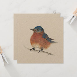 Tarjeta azul para aves