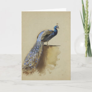 Tarjeta Azul pavo real   Archibald Thorburn