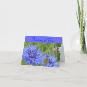 Tarjeta Azules del Cornflower