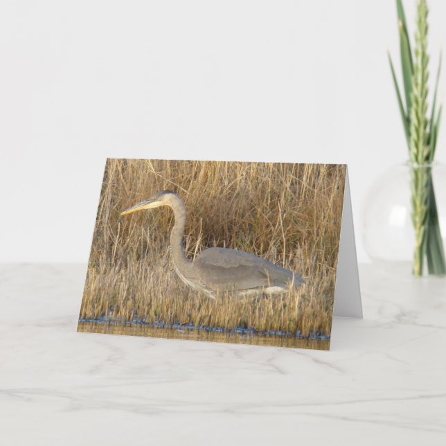 Tarjeta B19 Perón azul juvenil (Anverso)