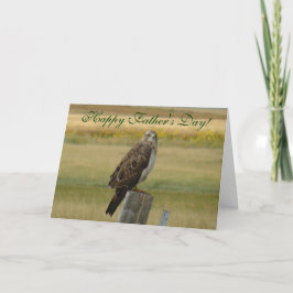 Tarjeta B33 Aguililla de Swainson