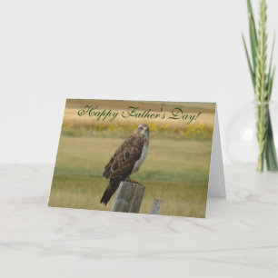 Tarjeta B33 Aguililla de Swainson