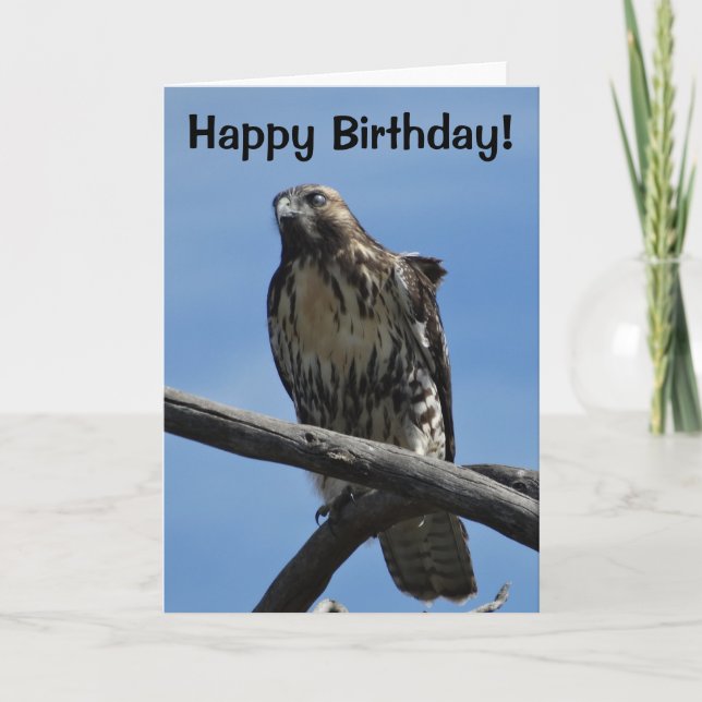 Tarjeta B54 Aguililla de Swainson (Anverso)