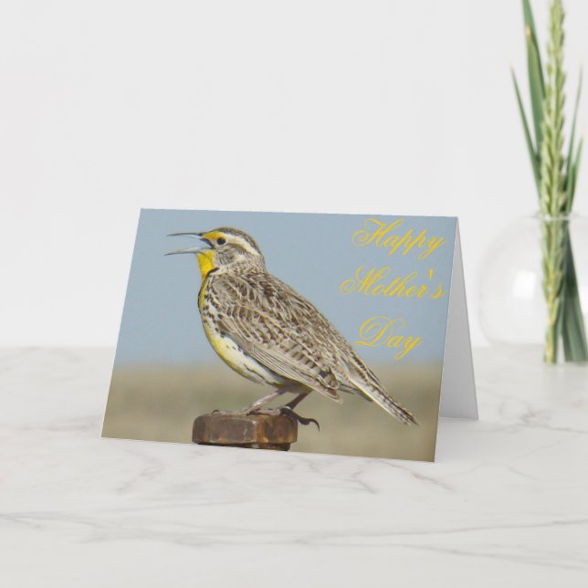 Tarjeta B6 Western Meadowlark (Anverso)