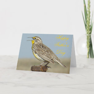 Tarjeta B6 Western Meadowlark