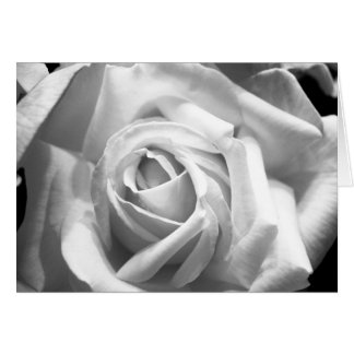 Tarjeta B/W Rosa
