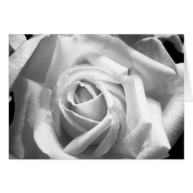 Tarjeta B/W Rosa (Anverso (Horizontal))