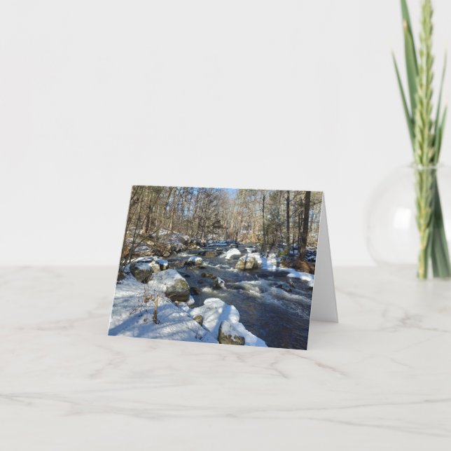 Tarjeta Baboosic Winter Water Note (Anverso)