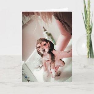 Tarjeta Baby Beagle Bathtime