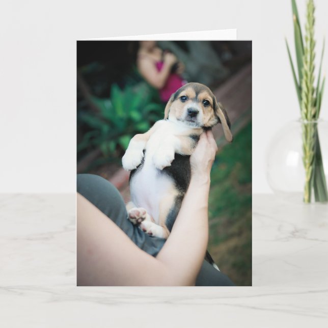 Tarjeta Baby Beagle Belly (Anverso)