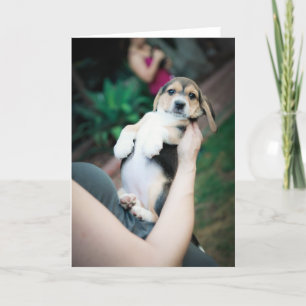 Tarjeta Baby Beagle Belly
