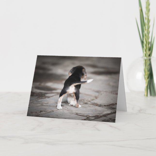 Tarjeta Baby Beagle Bottom (Anverso)