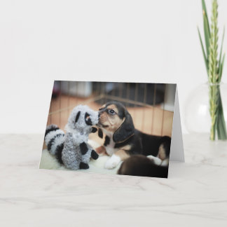 Tarjeta Baby Beagle Y Su Nuevo Juguete
