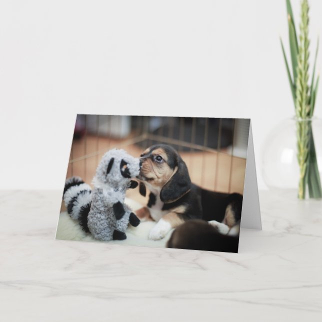 Tarjeta Baby Beagle Y Su Nuevo Juguete (Anverso)