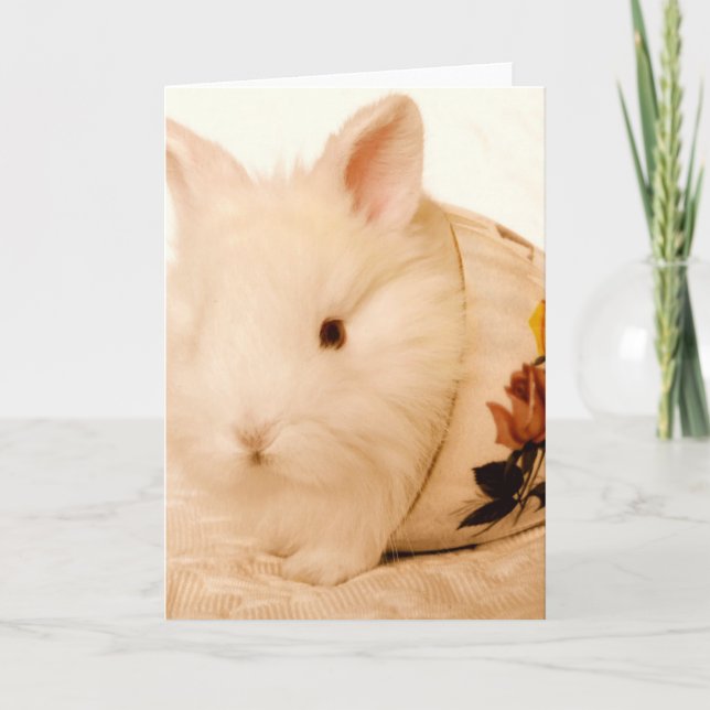 Tarjeta Baby Bunny (Anverso)